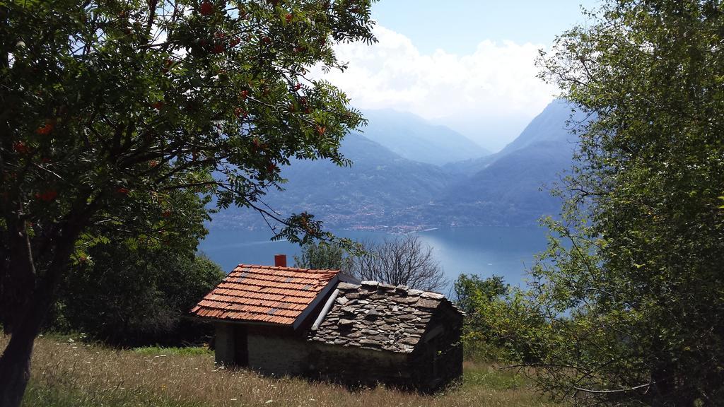 Lake Como View Apartement Allegro Acquaseria Habitación foto